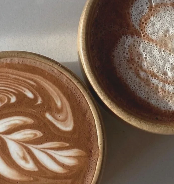 Cacao: History, Benefits, and Ceremonial Use